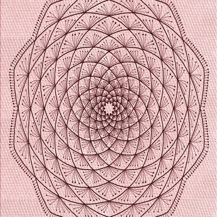 Machine Washable Transitional Indian Red Rug, wshpat1927rd