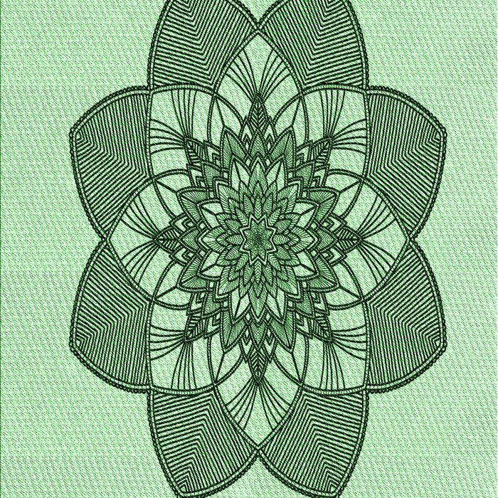 Machine Washable Transitional Mint Green Rug, wshpat1928grn