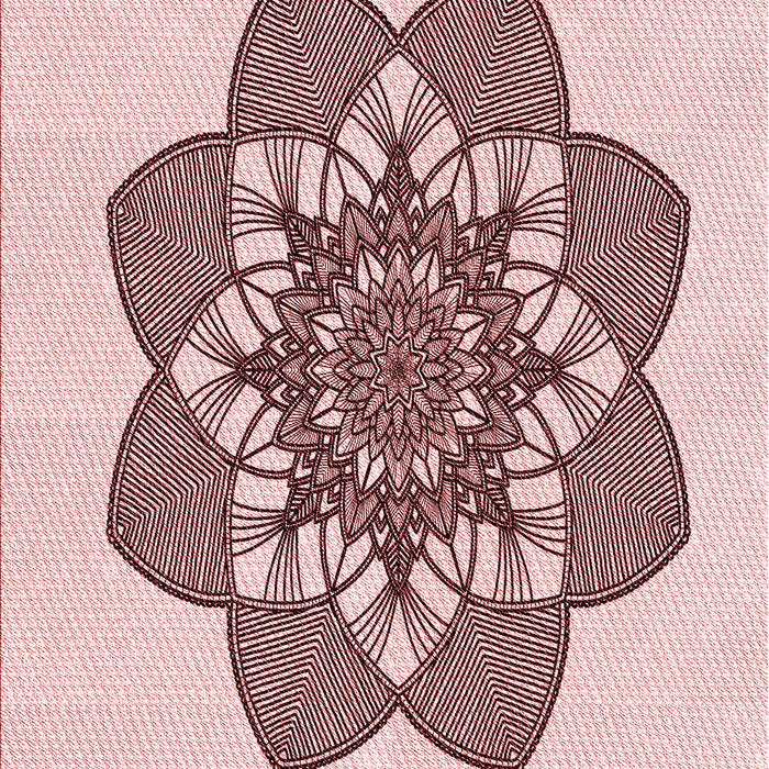 Machine Washable Transitional Indian Red Rug, wshpat1928rd