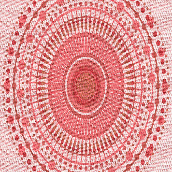 Machine Washable Transitional Orange Rug, wshpat1930rd