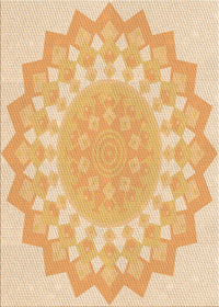 Machine Washable Transitional Orange Rug, wshpat1931org