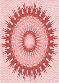 Machine Washable Transitional Pink Rug, wshpat1933rd