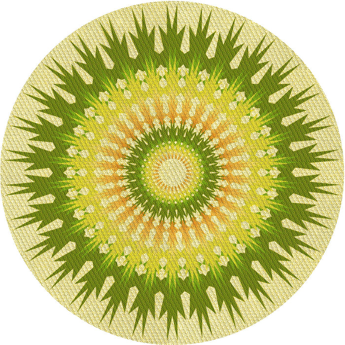 Square Machine Washable Transitional Pistachio Green Rug in a Living Room, wshpat1933yw