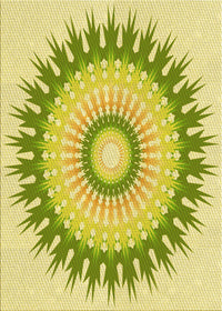 Machine Washable Transitional Pistachio Green Rug, wshpat1933yw