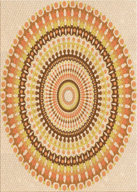 Machine Washable Transitional Orange Rug, wshpat1935org