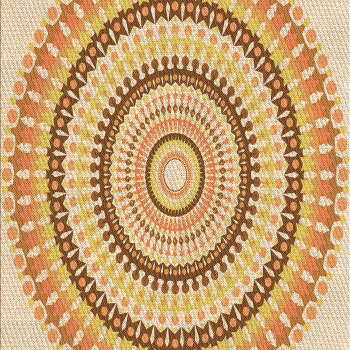 Machine Washable Transitional Orange Rug, wshpat1935org