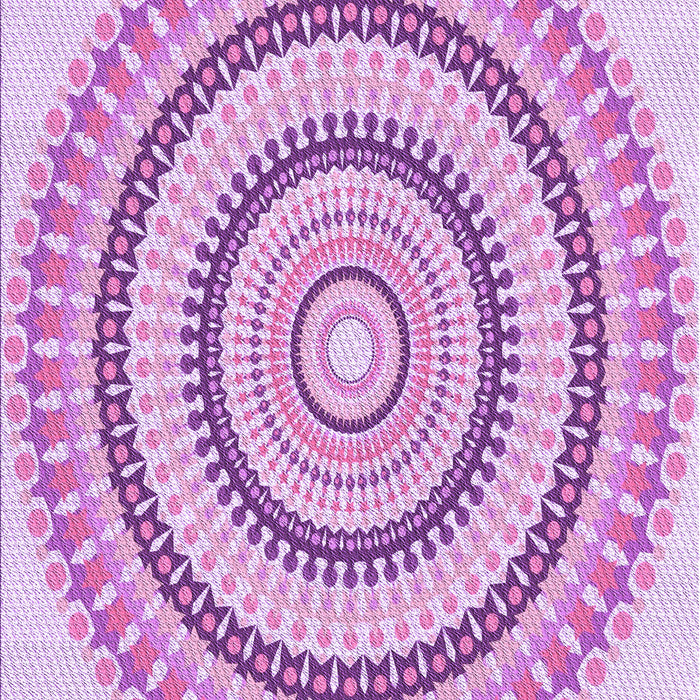 Machine Washable Transitional Blossom Pink Rug, wshpat1935pur