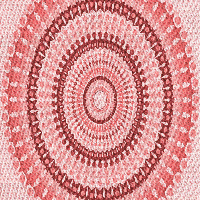 Machine Washable Transitional Orange Rug, wshpat1935rd