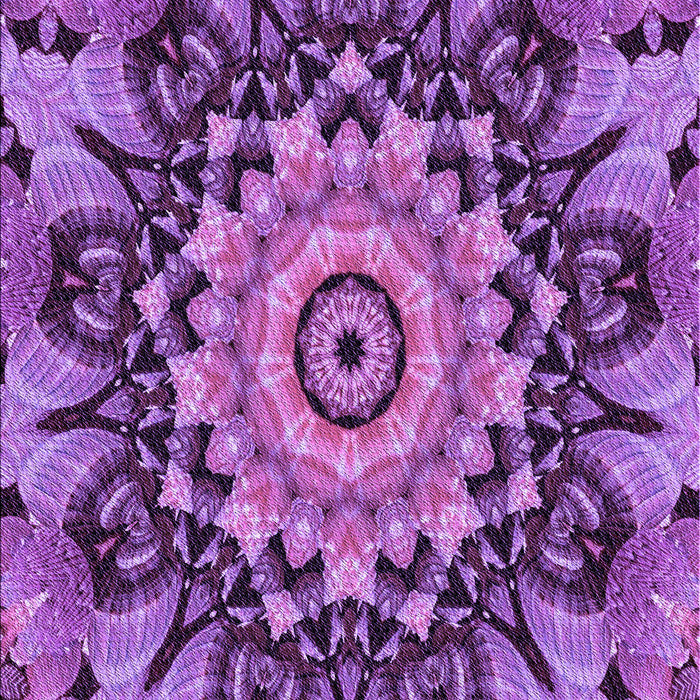 Machine Washable Transitional Dark Magenta Purple Rug, wshpat194pur