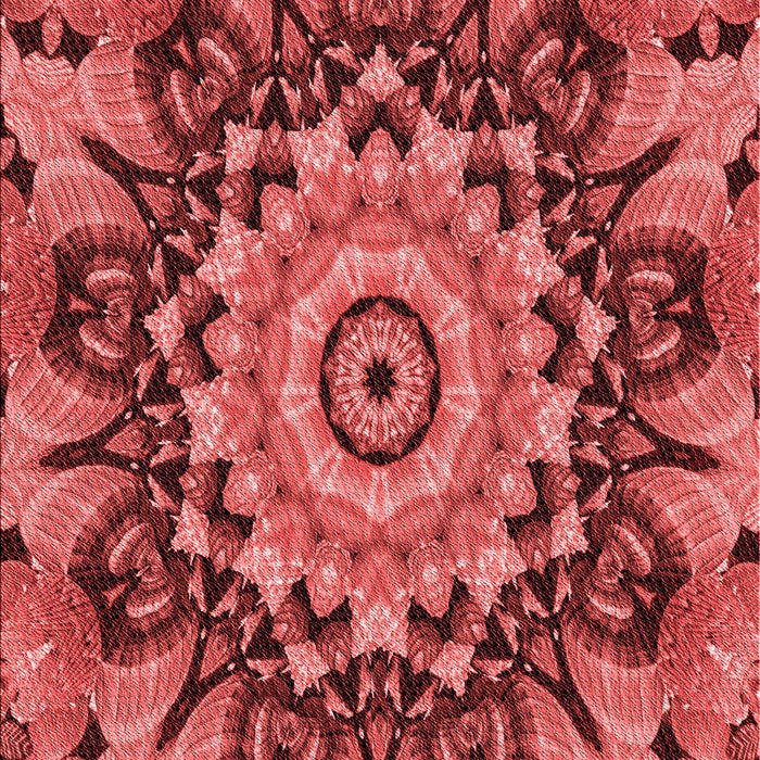 Patterned Red Rug, pat194rd