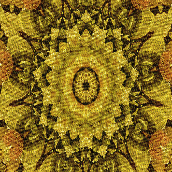 Patterned Yellow Rug, pat194yw