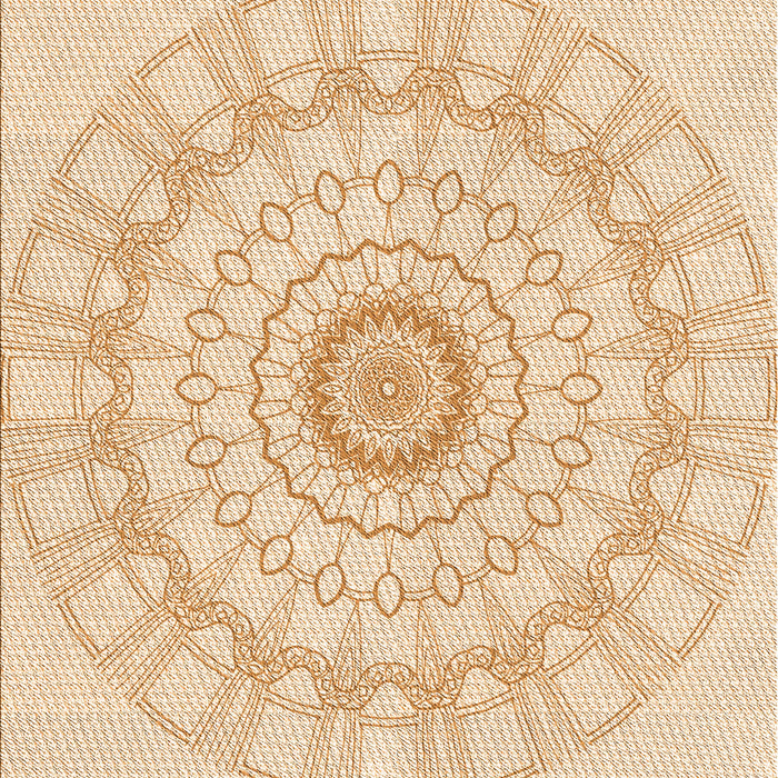 Machine Washable Transitional Orange Rug, wshpat1940org