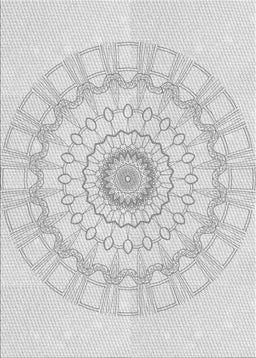 Machine Washable Transitional Dark Gray Rug, wshpat1940