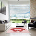 Square Patterned Red Rug in a Living Room, pat1941rd