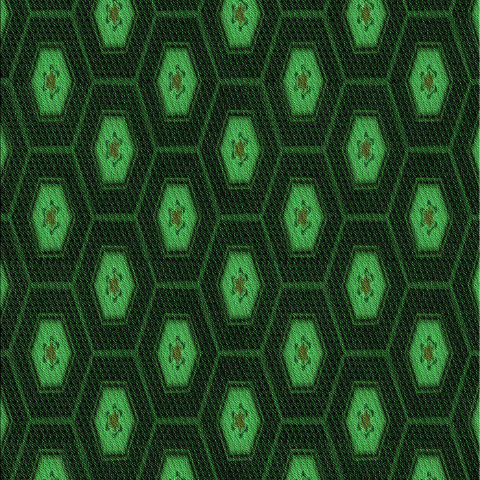 Machine Washable Transitional Green Rug, wshpat1942grn