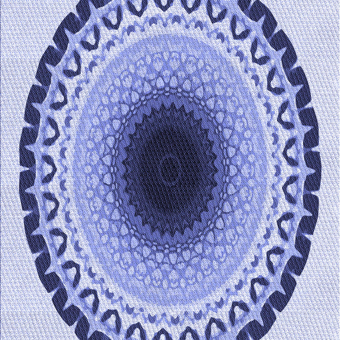 Patterned Blue Rug, pat1944blu