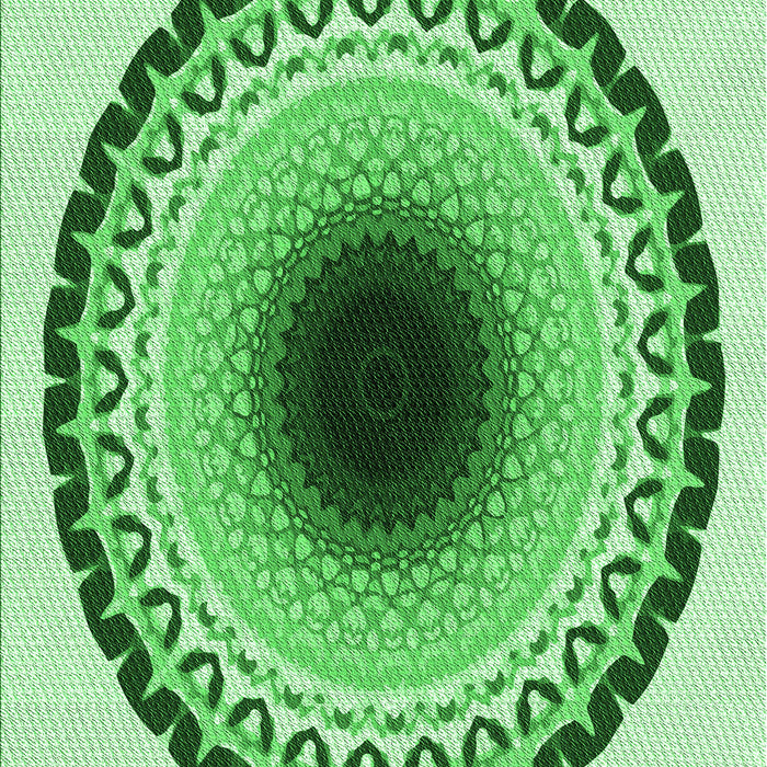 Machine Washable Transitional Jade Green Rug, wshpat1944grn