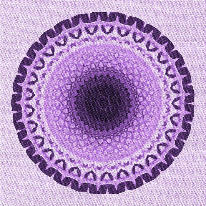 Round Machine Washable Transitional Blossom Pink Rug, wshpat1944pur