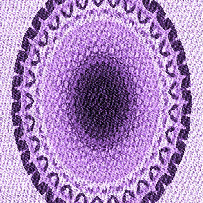 Machine Washable Transitional Blossom Pink Rug, wshpat1944pur