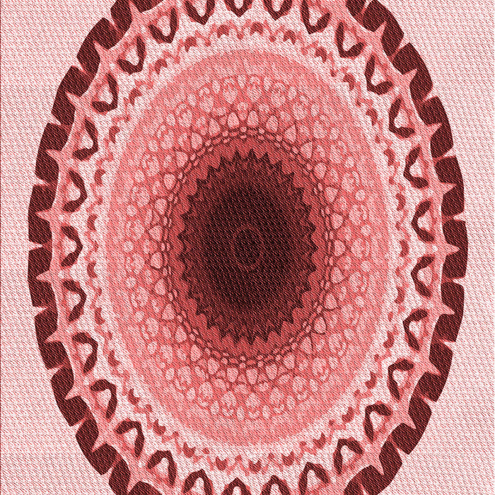 Patterned Red Rug, pat1944rd