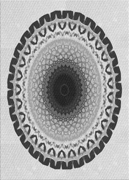 Patterned Carbon Gray Novelty Rug, pat1944