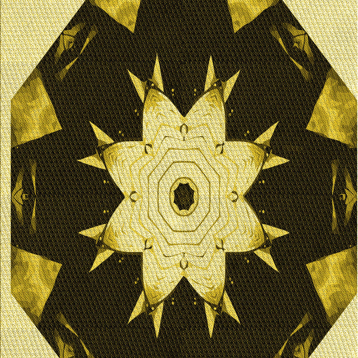 Patterned Black Brown Rug, pat1945yw