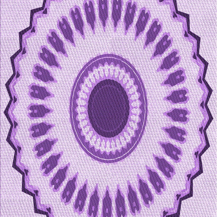 Machine Washable Transitional Purple Rug, wshpat1947pur