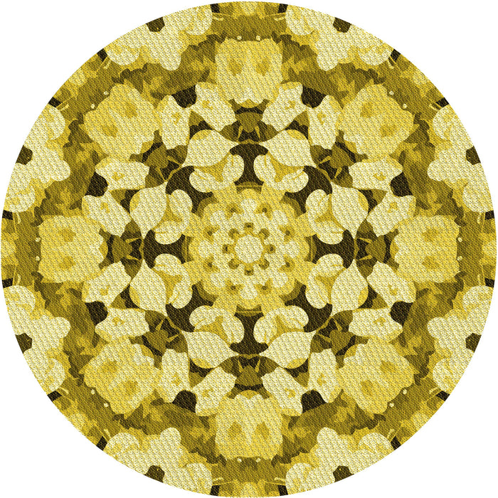 Square Machine Washable Transitional Dark Golden Brown Rug in a Living Room, wshpat1948yw