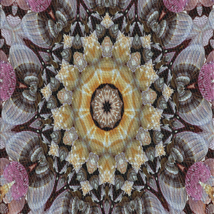 Machine Washable Transitional Burgundy Brown Rug, wshpat194