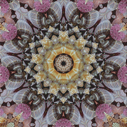 Sideview of Machine Washable Transitional Burgundy Brown Rug, wshpat194