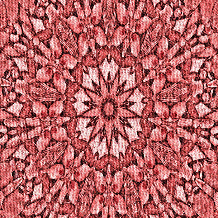 Machine Washable Transitional Red Rug, wshpat195rd