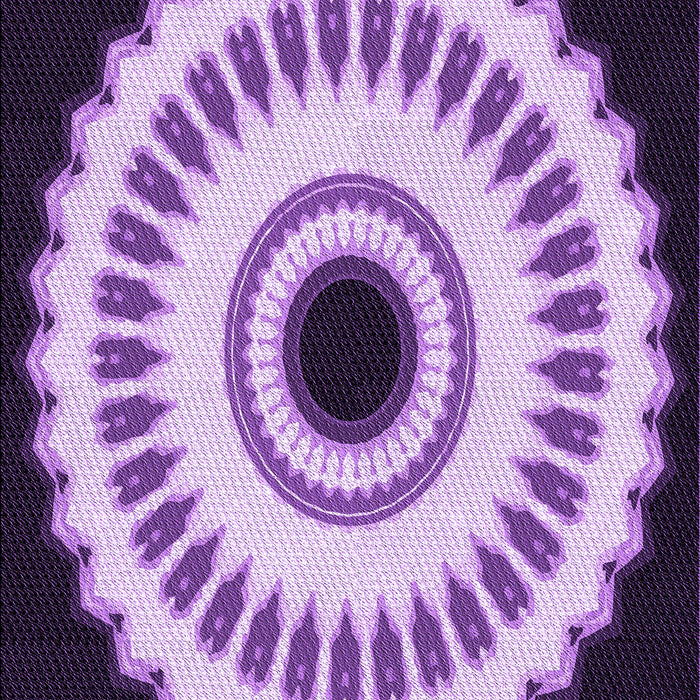 Machine Washable Transitional Purple Rug, wshpat1950pur