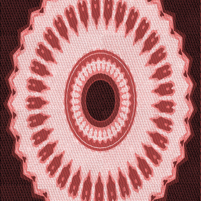 Machine Washable Transitional Pastel Pink Rug, wshpat1950rd