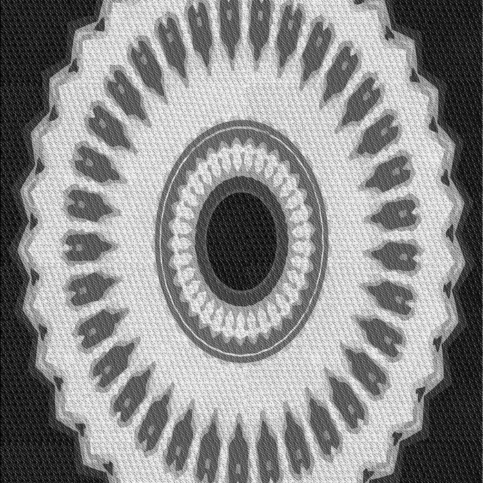 Machine Washable Transitional Charcoal Black Rug, wshpat1950