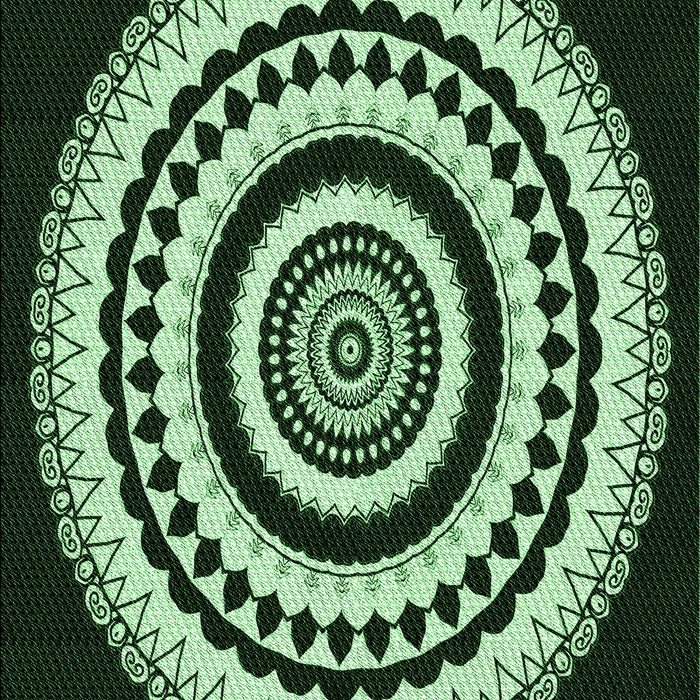 Machine Washable Transitional Black Rug, wshpat1957grn