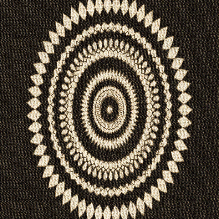 Machine Washable Transitional Black Rug, wshpat1958brn