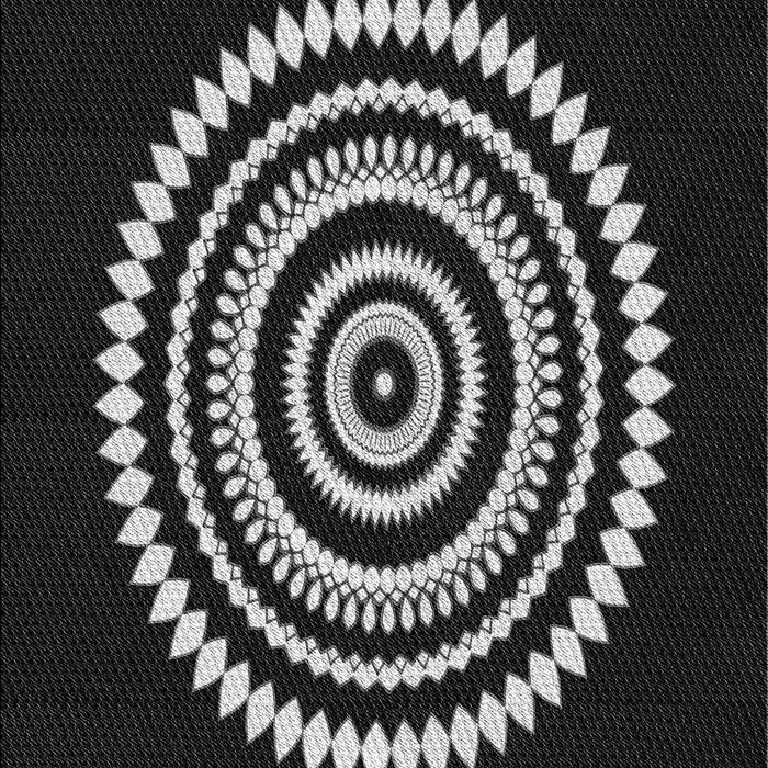 Machine Washable Transitional Black Rug, wshpat1958