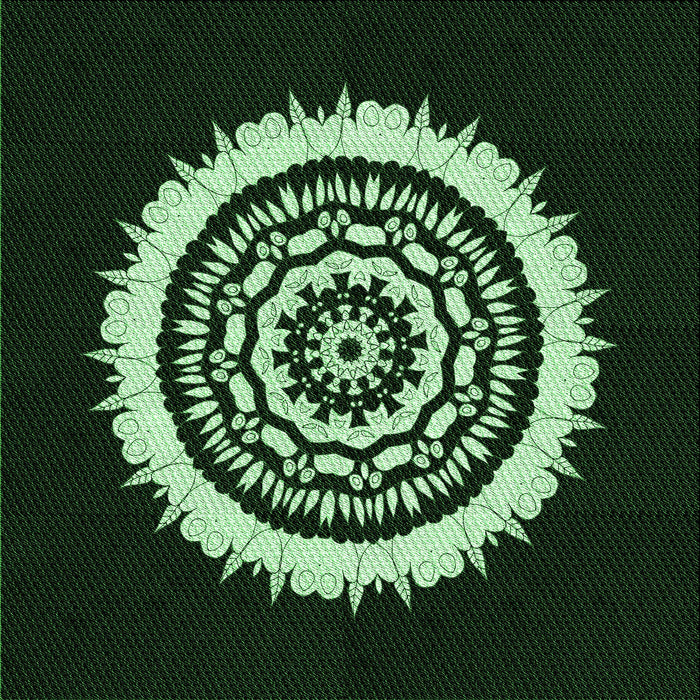 Round Machine Washable Transitional Black Rug, wshpat1959grn