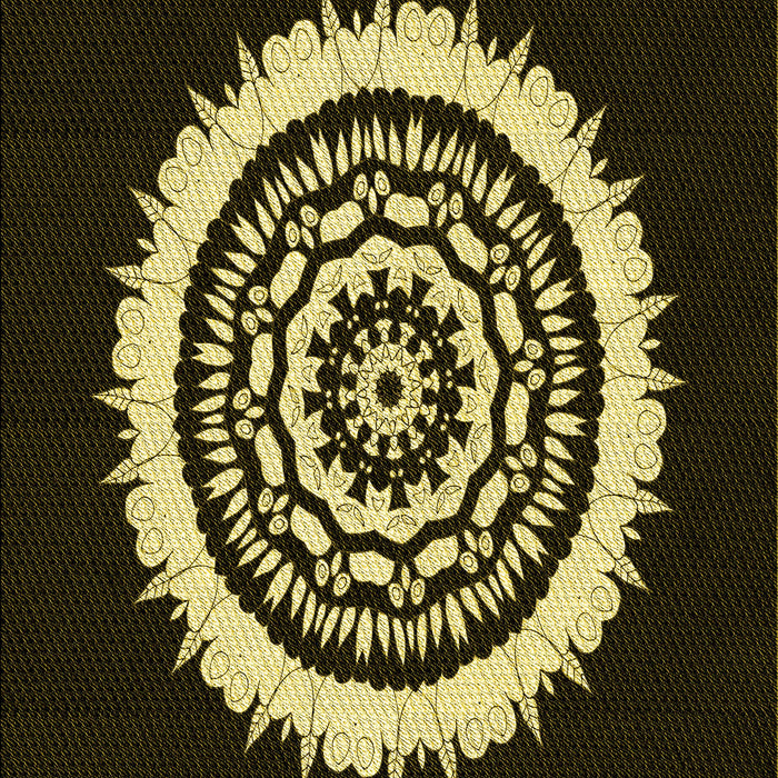 Machine Washable Transitional Black Rug, wshpat1959yw