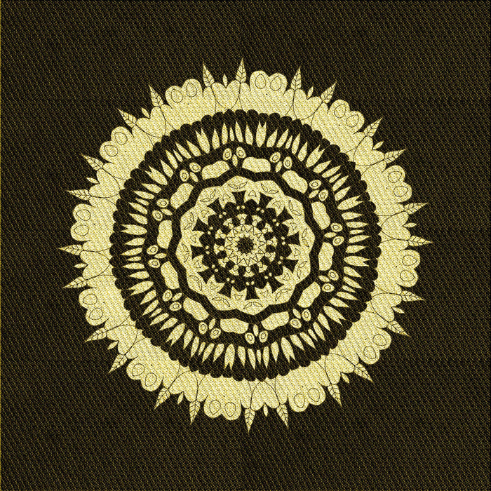 Round Machine Washable Transitional Black Rug, wshpat1959yw