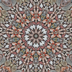 Sideview of Machine Washable Transitional Dark Brown Rug, wshpat195