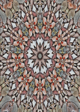 Machine Washable Transitional Dark Brown Rug, wshpat195