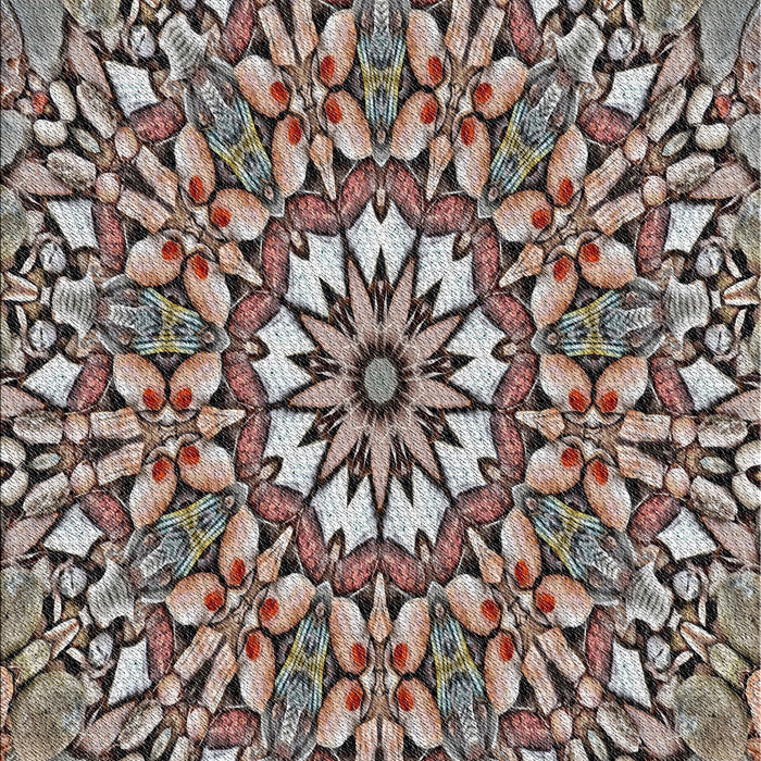 Machine Washable Transitional Dark Brown Rug, wshpat195