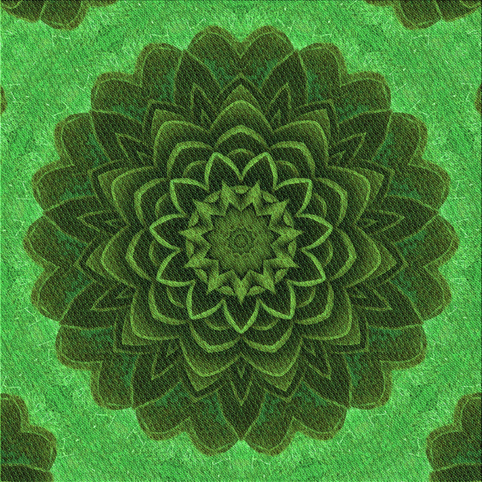 Round Machine Washable Transitional Deep Emerald Green Rug, wshpat196grn