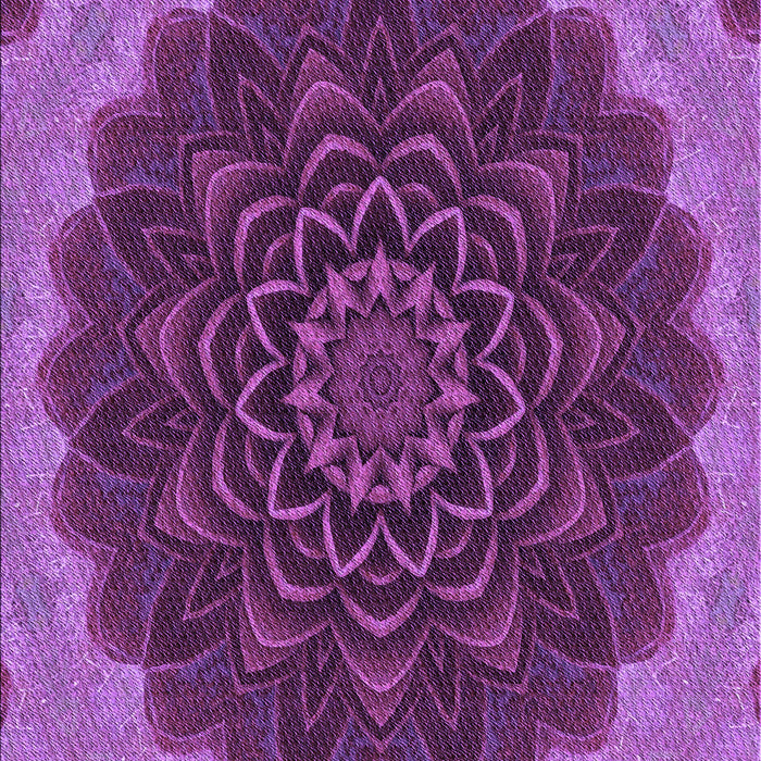Machine Washable Transitional Purple Rug, wshpat196pur