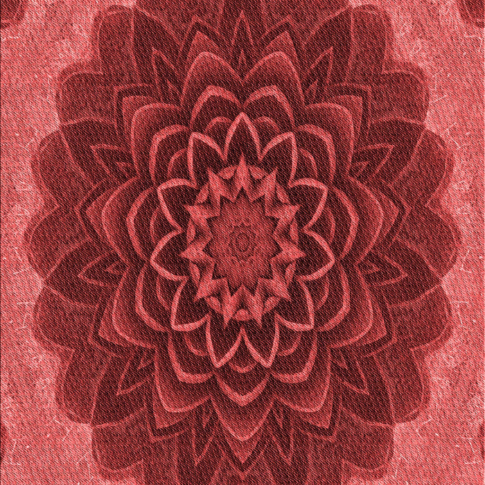 Machine Washable Transitional Tomato Red Rug, wshpat196rd