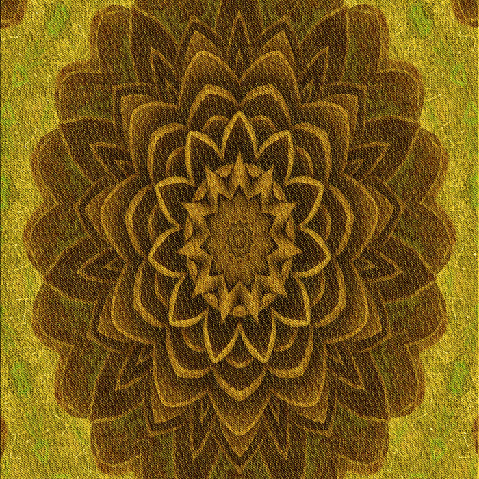 Patterned Red Brown Rug, pat196yw