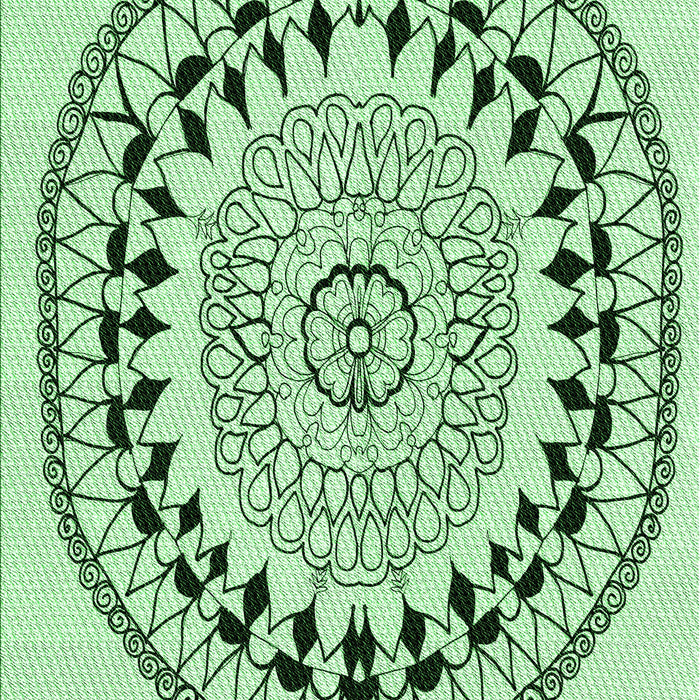 Machine Washable Transitional Mint Green Rug, wshpat1962grn