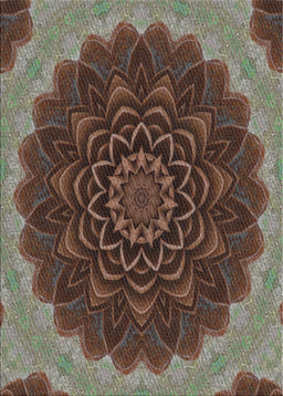 Machine Washable Transitional Night Red Rug, wshpat196