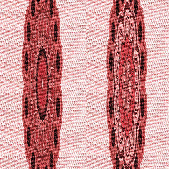 Machine Washable Transitional Red Rug, wshpat1975rd